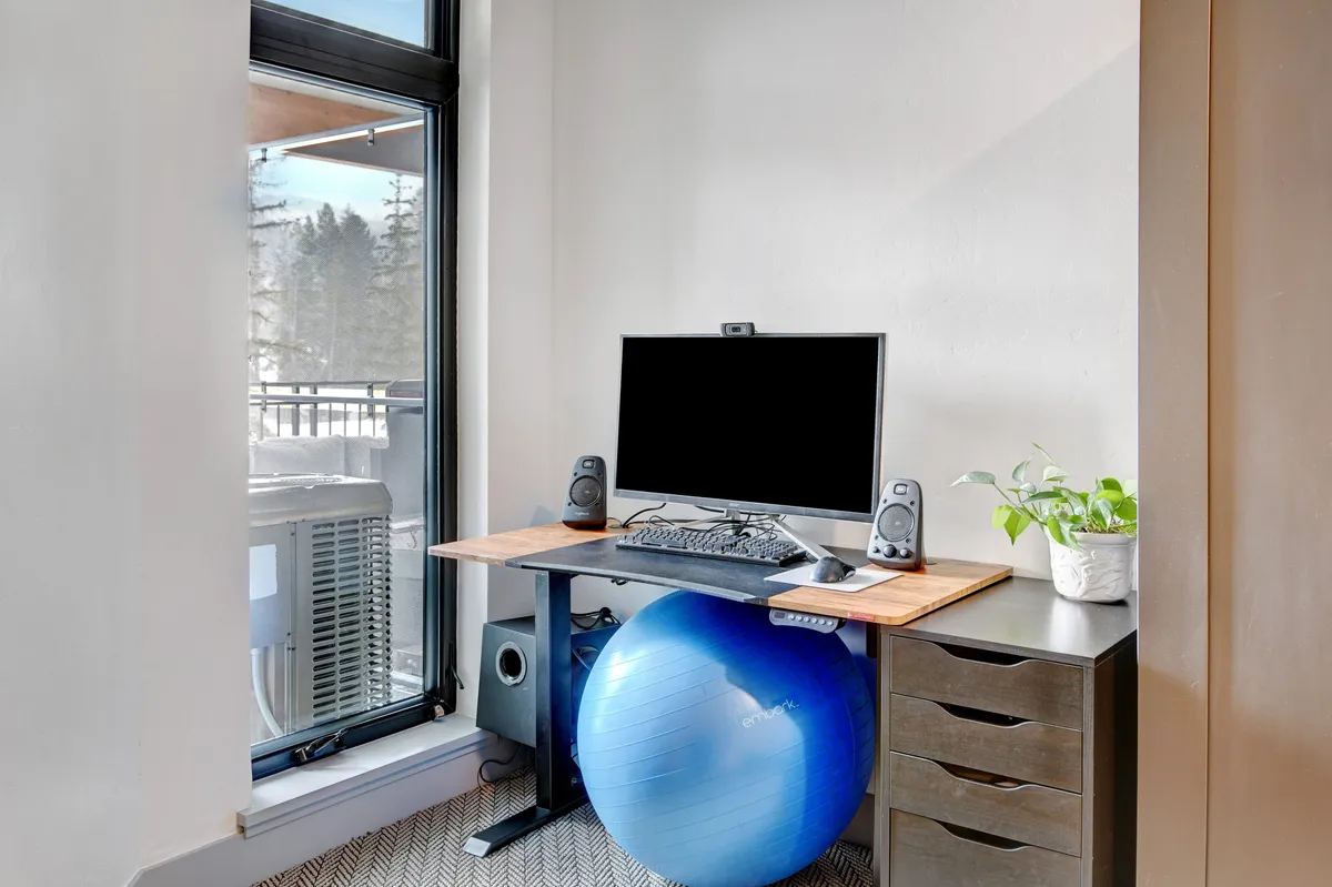 This image features a dedicated workspace with a computer monitor, desk, plant, and exercise ball, suggesting a productive yet health-conscious environment. The presence of natural light hints at a pleasant interior connected to the outdoors, perfect for remote work.